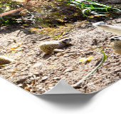 Playful Meerkats Large Foto Collage, Poster (Ecke)