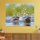 Playful Otters Popping Up Water Splash Leinwanddruck (Insitu (Wohnzimmer))