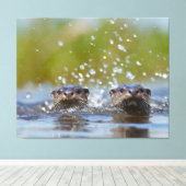Playful Otters Popping Up Water Splash Leinwanddruck (Insitu (Holzboden))