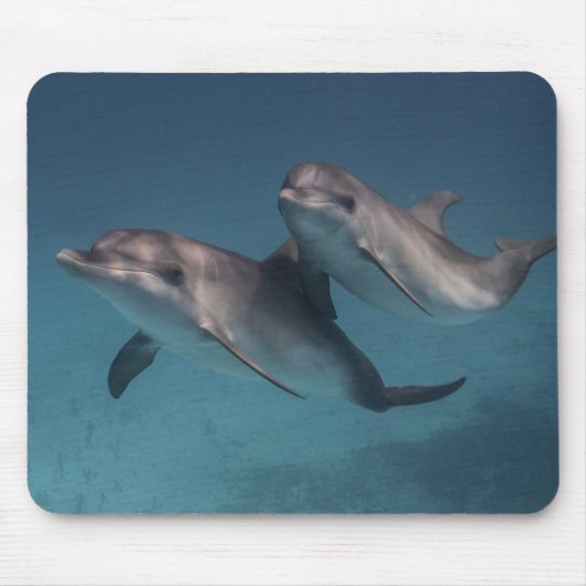 Playful Pose Mousepad (Vorne)