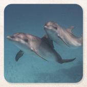 Playful Pose Rechteckiger Pappuntersetzer (Vorderseite)