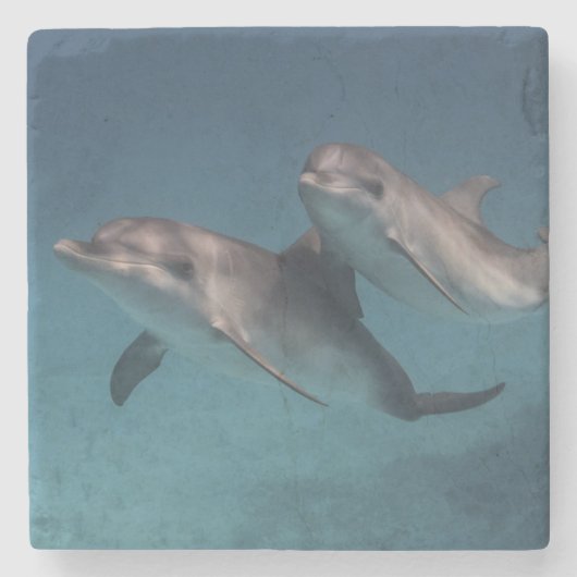 Playful Pose Steinuntersetzer (Vorderseite)