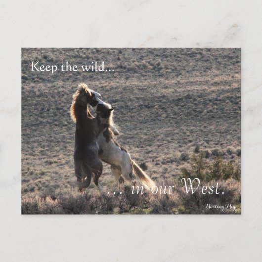 Playful, Pre-adressiert: Sec of the Interior Postkarte (Vorderseite)