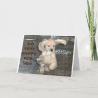 PLAYFUL PUP SAGT "1. TAG KINDERGARDEN"