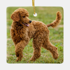Playful Red Poodle Puppy Dog Keramikornament
