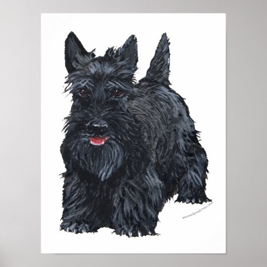 Playful Scottish Terrier Poster (Vorne)