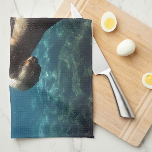 Playful Sea lions Galapagos Inseln Handtuch (Viertel Falte)