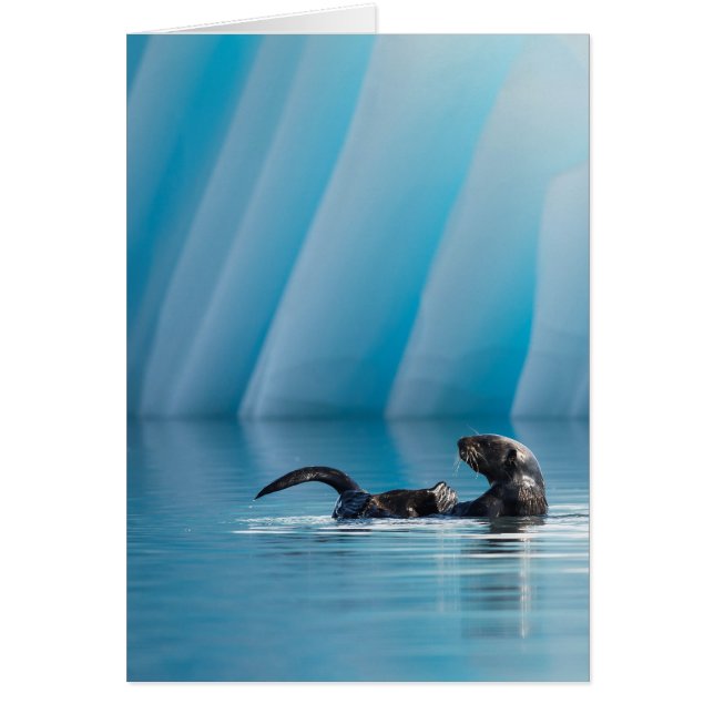 Playful Sea Otter (Vorne)