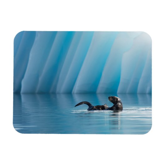 Playful Sea Otter Magnet (Horizontal)