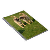 Playful Shar Pei Welppies Notizblock (Rechte Seite)