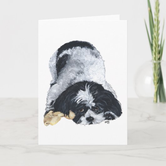 Playful Shih Tzu Karte (Vorderseite)