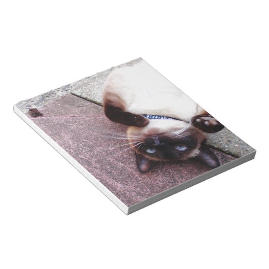 Playful Siamese Notizblock (angewinkelt)