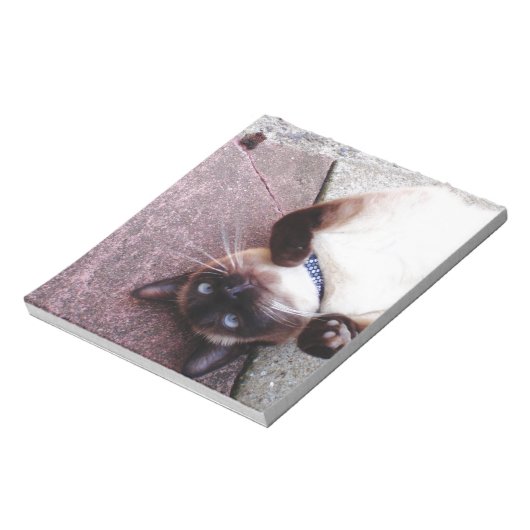 Playful Siamese Notizblock (Rotiert)