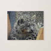 Playful Snow Leopard Baby Puzzle (Horizontal)