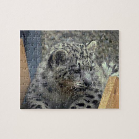 Playful Snow Leopard Baby Puzzle (Horizontal)