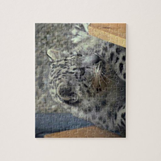 Playful Snow Leopard Baby Puzzle (Vertikal)