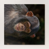 Playful Soul – Baby Chimpanzee Close-Up Puzzle (Horizontal)
