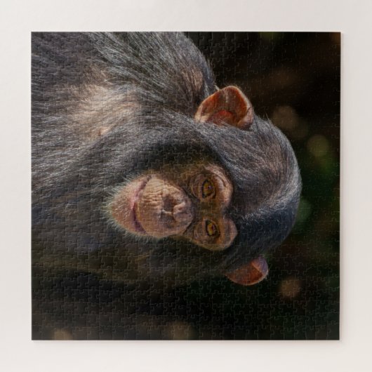 Playful Soul – Baby Chimpanzee Close-Up Puzzle (Horizontal)