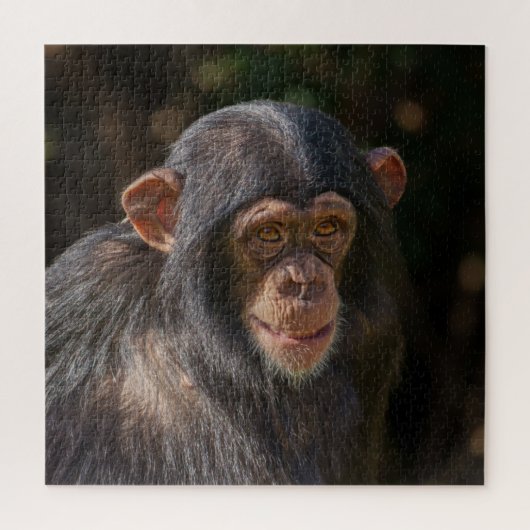 Playful Soul – Baby Chimpanzee Close-Up Puzzle (Vertikal)