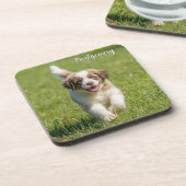 Playful St. Bernard Personalisiert Untersetzer Set (Linke Seite)