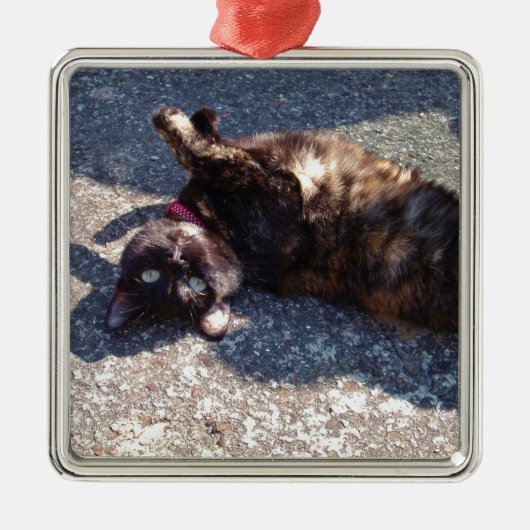 Playful Tortoiseshell Cat Silbernes Ornament (Vorne)