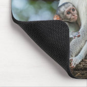 Playful Vervet Monkey African Fotografy Mousepad (Ecke)