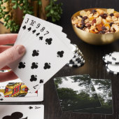 Playing Cards Spielkarten (In Situ)