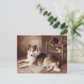 Playmates - Dog Kitten - Welpe Postkarte (Stehend Vorderseite)