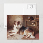 Playmates - Dog Kitten - Welpe Postkarte (Vorne/Hinten)