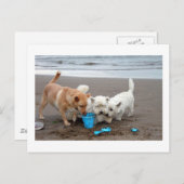 Playtime on the beach postkarte (Vorne/Hinten)