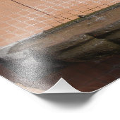 Plaza Cat Fountain Fotodruck (Ecke)