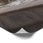 Plaza de la Jungfrau und Basilica de Virgen Poster (Ecke)