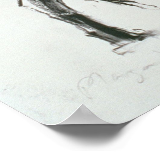 Plaza de Toros de Miajadas 1998 Poster (Ecke)