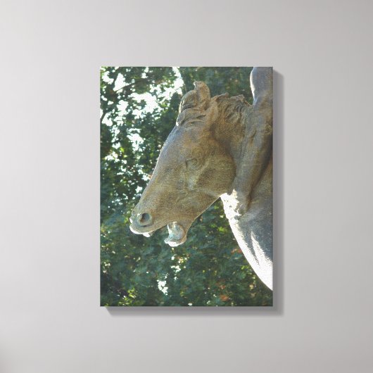 Plaza Horse Leinwanddruck (Vorderseite)