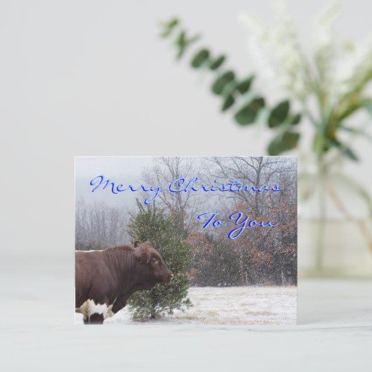 PLB Frohe Weihnachten anpassen (Stehend Vorderseite)