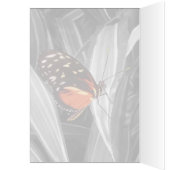 Pleasantville Butterfly - 5" x 7" Art Card (Innen (Links))
