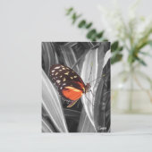 Pleasantville Butterfly - Postkarte (Stehend Vorderseite)