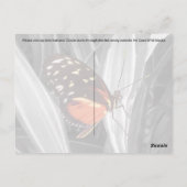 Pleasantville Butterfly - Postkarte (Rückseite)