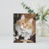 Please Pass the Catnip Cat Postcard Postkarte (Stehend Vorderseite)