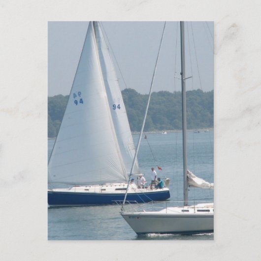 Pleasure Segel Postkarten (Vorderseite)