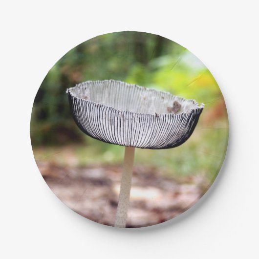 Pleated Inkcap Mushroom Paper Teller (Vorderseite)