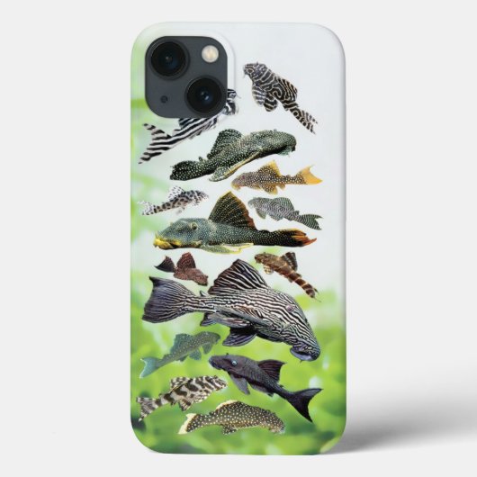Pleco Case-Mate iPhone Hülle (Rückseite)