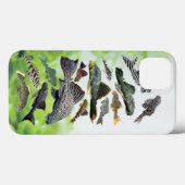 Pleco Case-Mate iPhone Hülle (Rückseite (Horizontal))