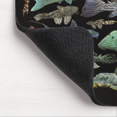Pleco collection mousepad (Ecke)