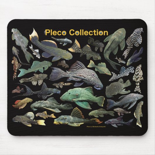 Pleco collection mousepad (Vorne)