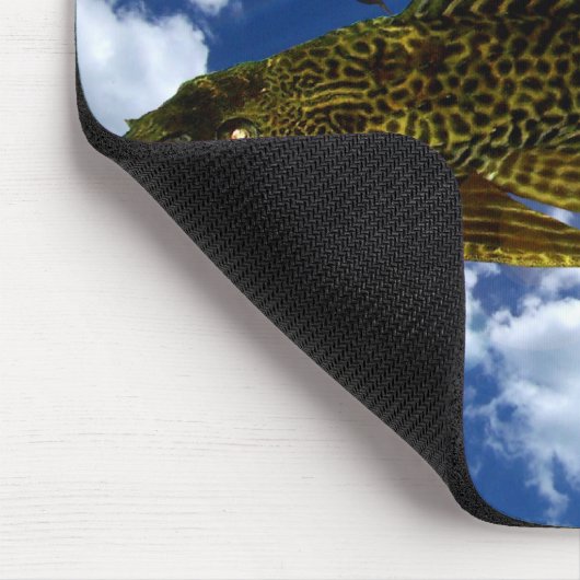 Pleco Migration #2 Mousepad (Ecke)