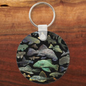 Pleco Schlüsselanhänger (Vorderseite)