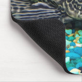 Plecostomus auf Kies Mousepad (Ecke)