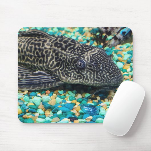 Plecostomus auf Kies Mousepad (Mit Mouse)