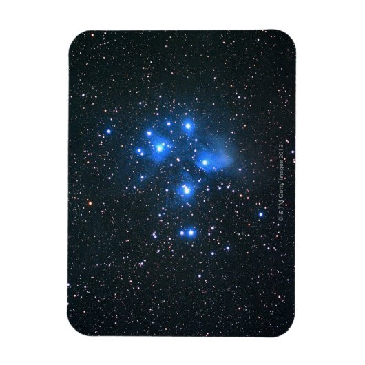 Pleiades 2 magnet (Vertikal)